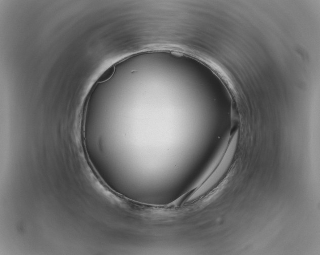 X0000111671102200907311153