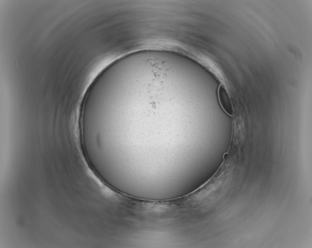 X0000111671103200907311153