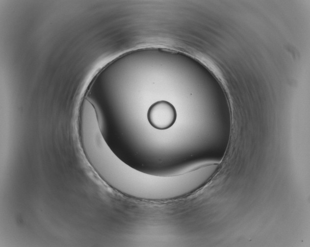 X0000111671104200907311153