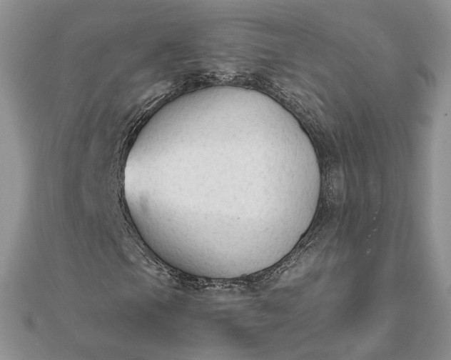 X0000111671105200907311152