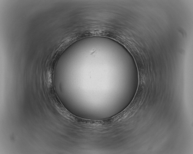 X0000111671106200907311152