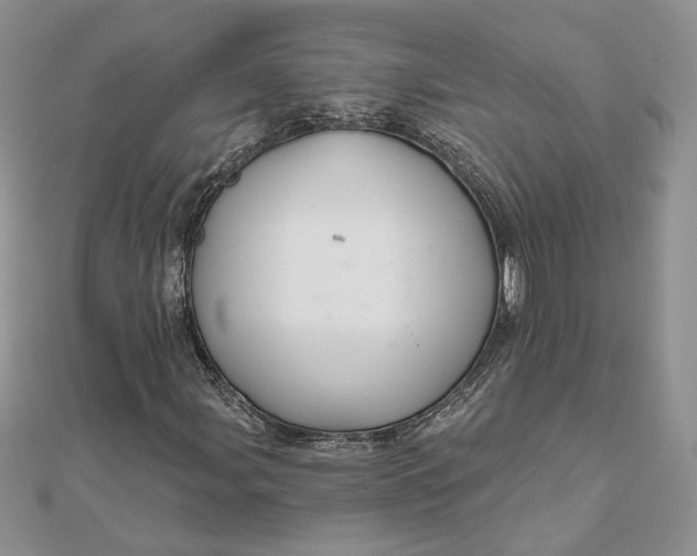 X0000111671107200907311152