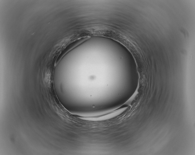 X0000111671108200907311153