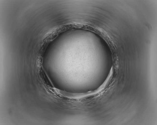 X0000111671110200907311153