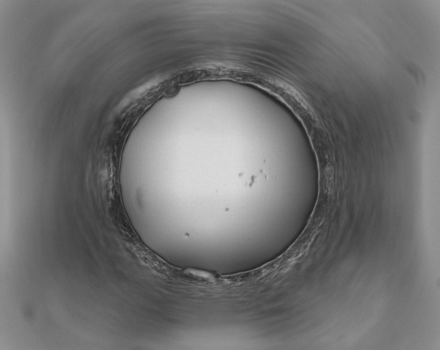 X0000111671111200907311153