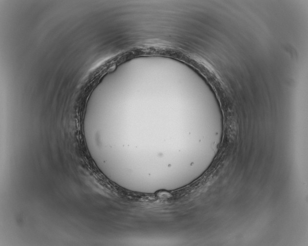 X0000111671112200907311153