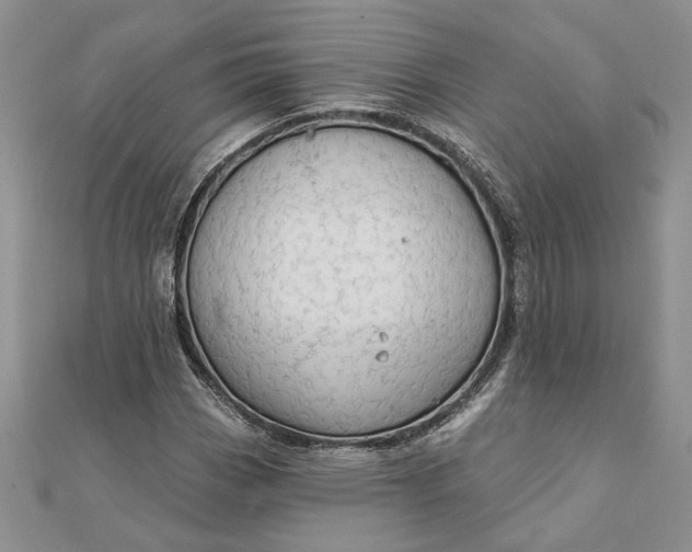 X0000111671113200907311153