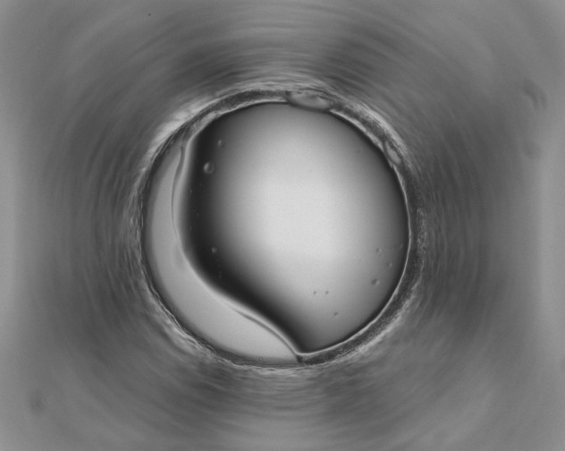 X0000111671114200907311153