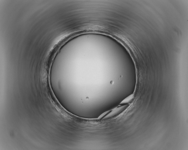 X0000111671115200907311153