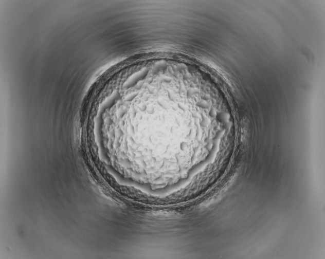 X0000111671117200907311153