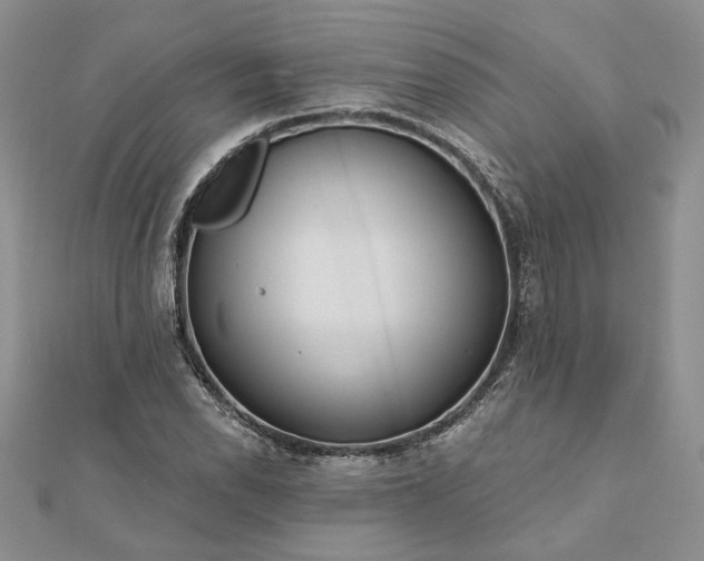 X0000111671118200907311153