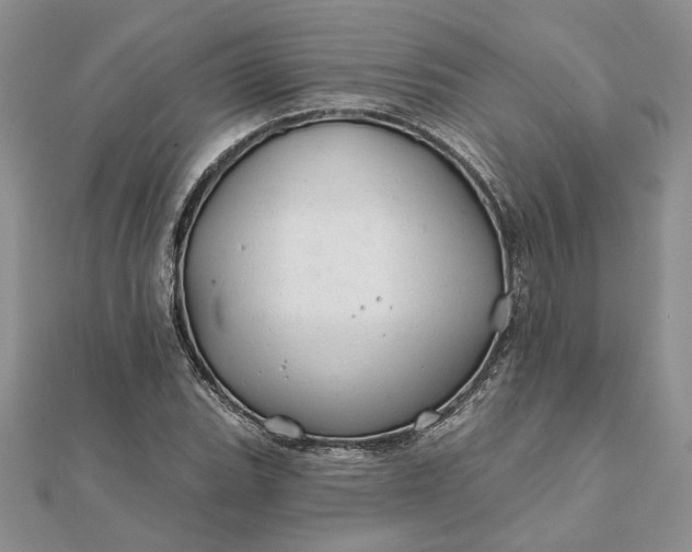 X0000111671119200907311153