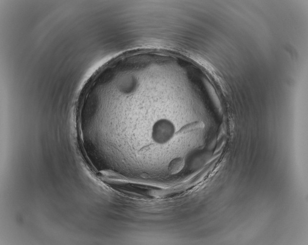 X0000111671120200907311153