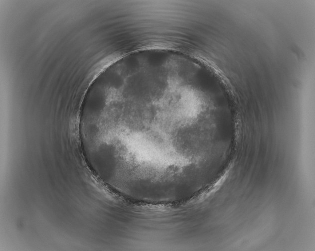 X0000111671121200907311153