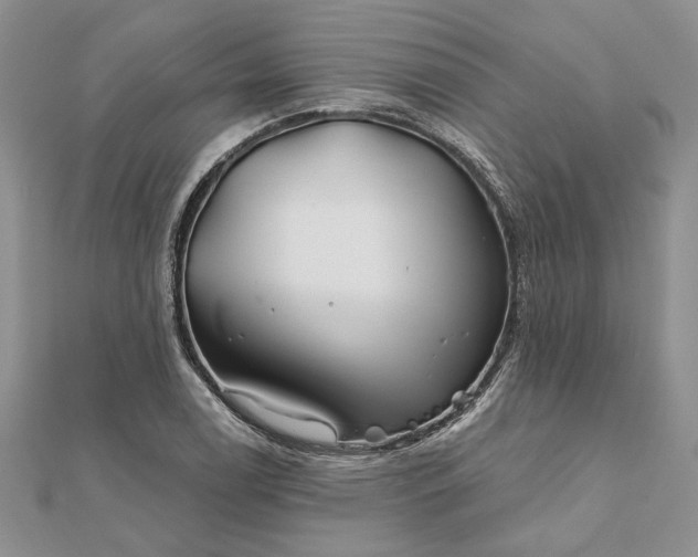 X0000111671122200907311153