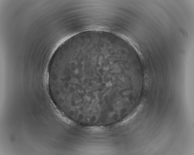 X0000111671125200907311153