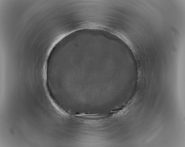 X0000111671128200907311153