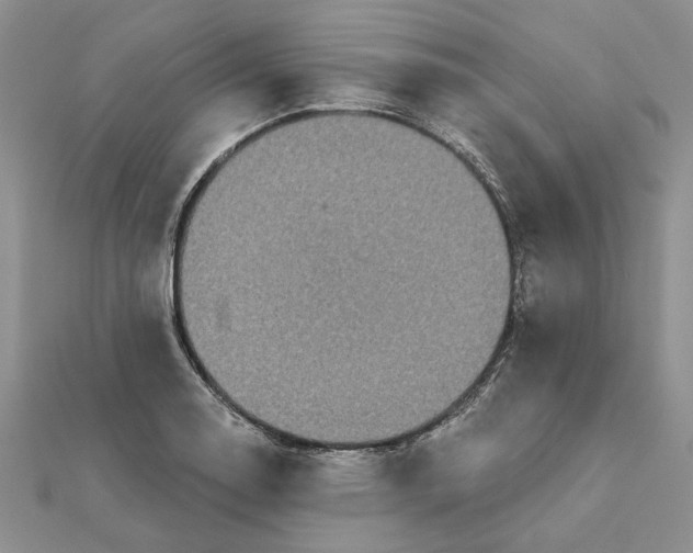 X0000111671130200907311153