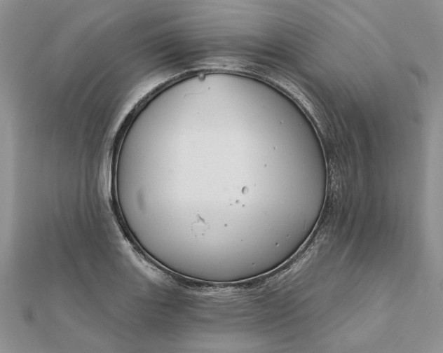 X0000111671131200907311153