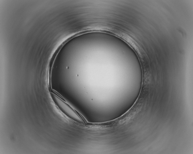 X0000111671132200907311153