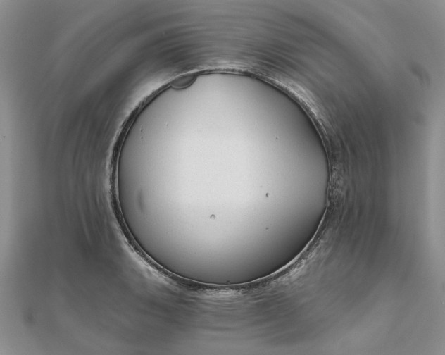 X0000111671135200907311153