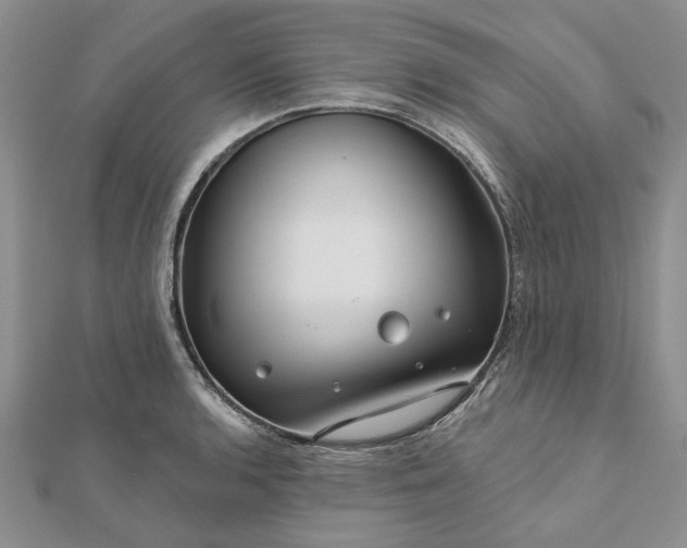 X0000111671136200907311153