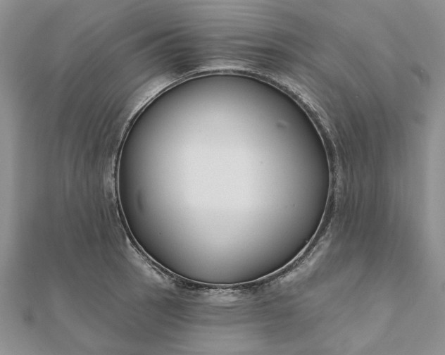 X0000111671137200907311153