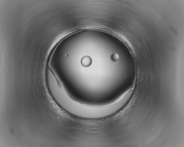 X0000111671138200907311153