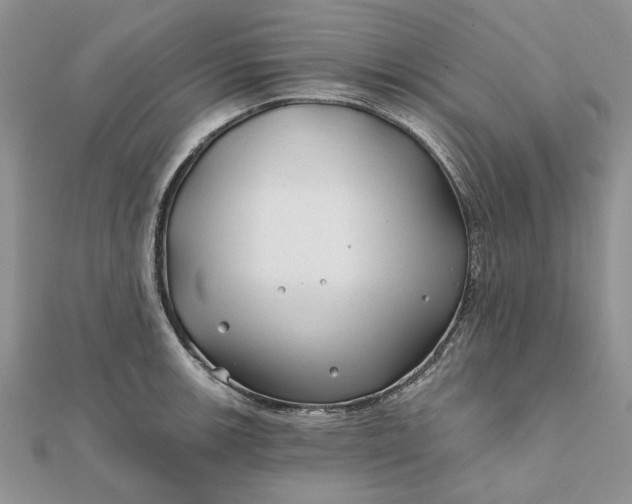 X0000111671139200907311153