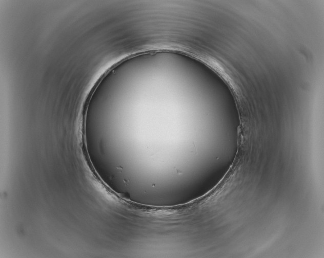 X0000111671140200907311153