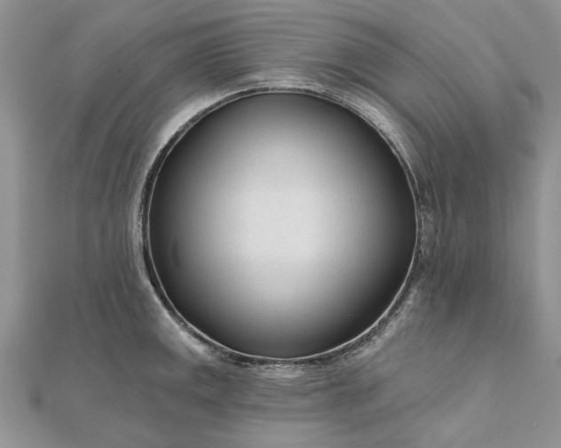 X0000111671141200907311153