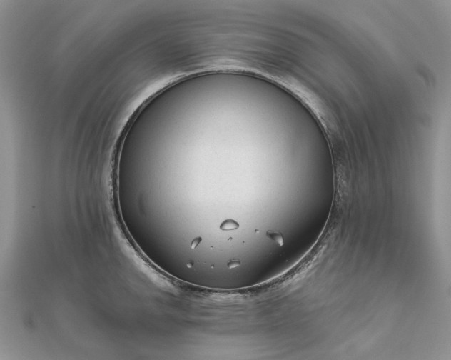 X0000111671142200907311153