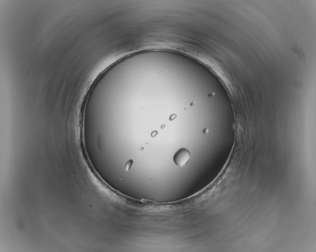 X0000111671143200907311153