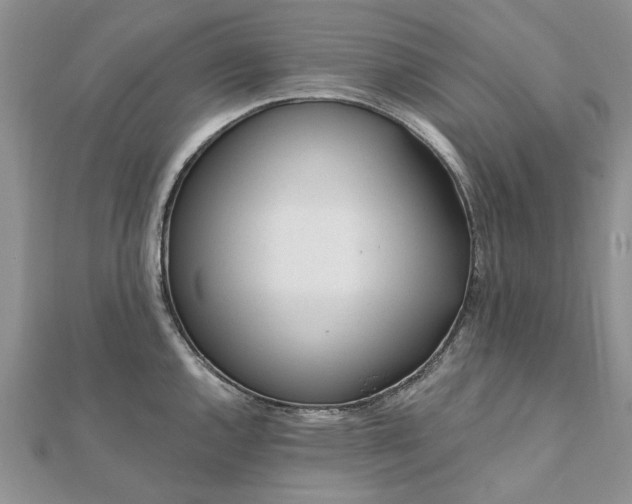 X0000111671144200907311153