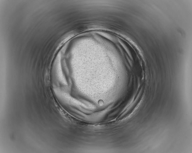 X0000111671145200907311153