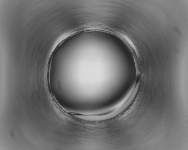 X0000111671146200907311153