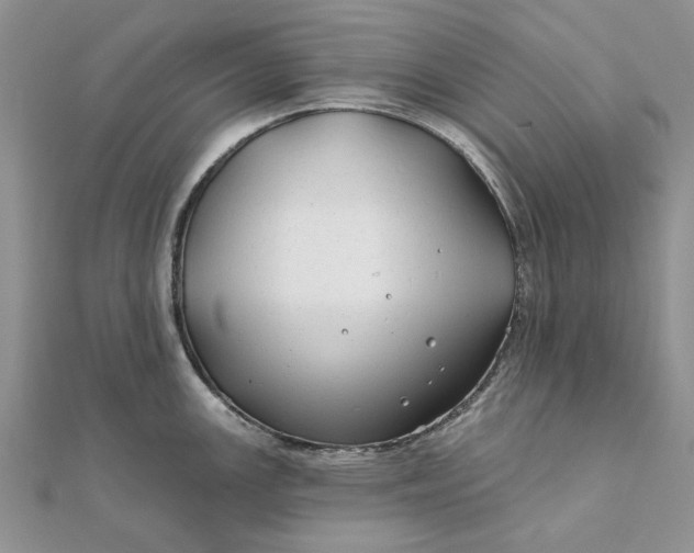 X0000111671147200907311153