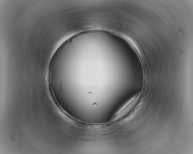 X0000111671149200907311153