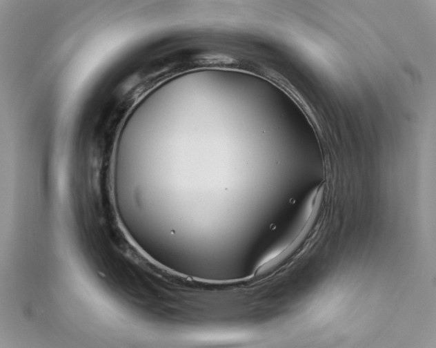 X0000111671151200907311153