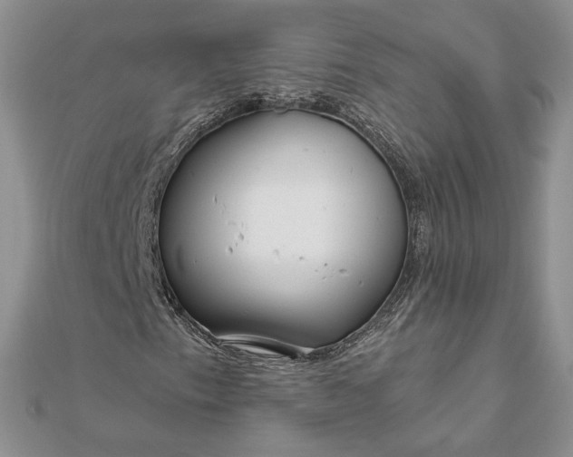 X0000111671153200907311152