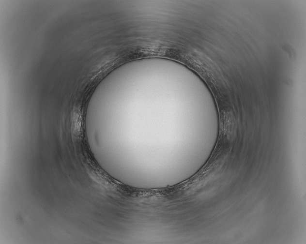 X0000111671154200907311152