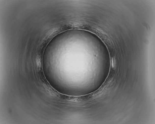 X0000111671155200907311152