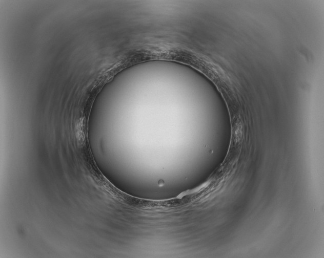 X0000111671156200907311152