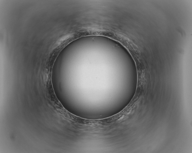 X0000111671157200907311152