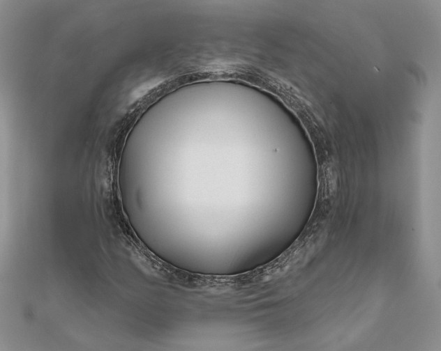 X0000111671158200907311152