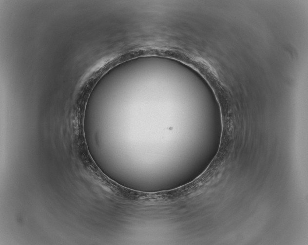 X0000111671159200907311152