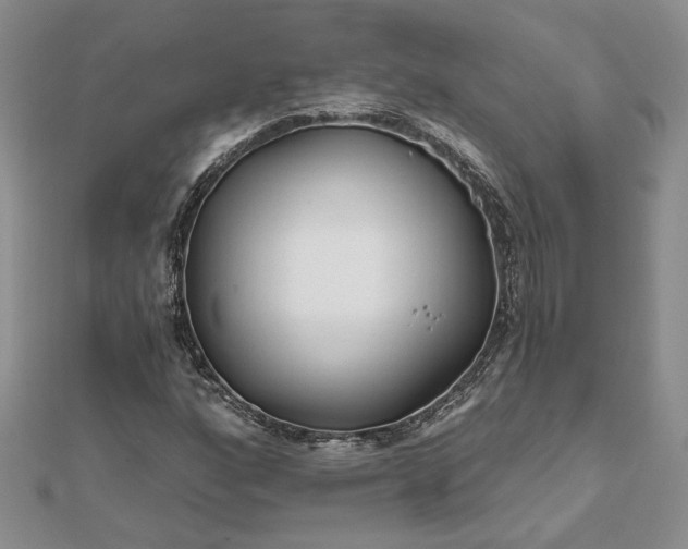 X0000111671160200907311152