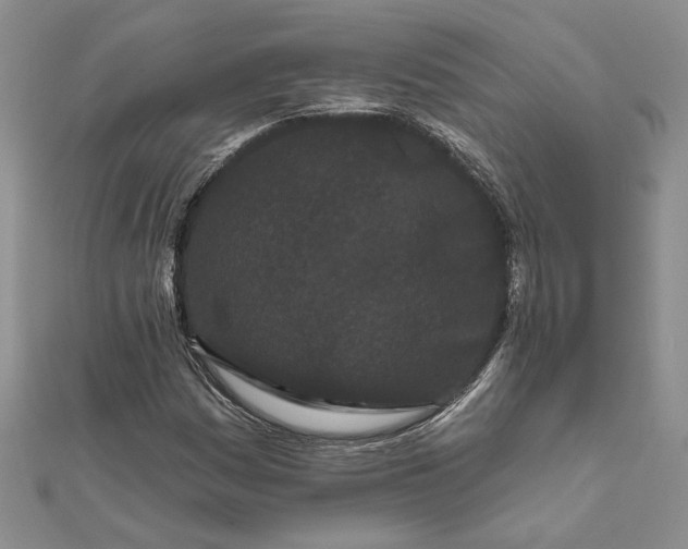 X0000111671161200907311152