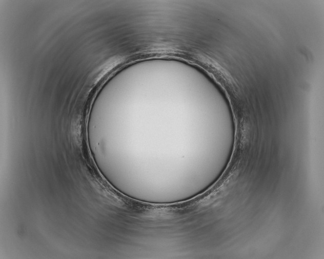 X0000111671162200907311152