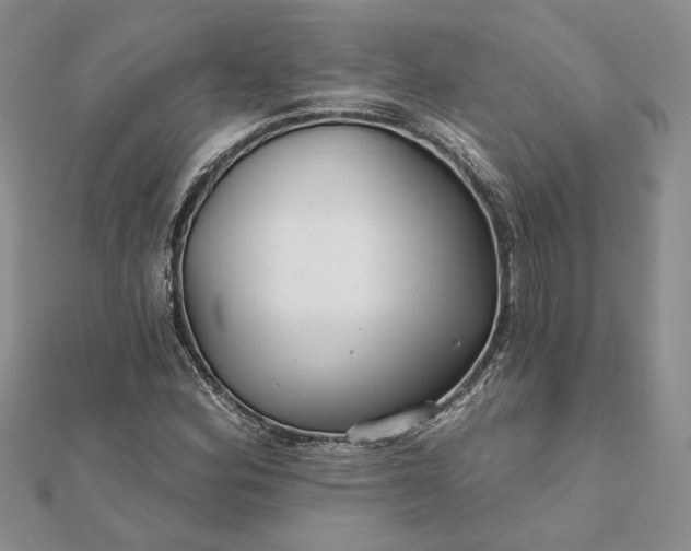 X0000111671164200907311152